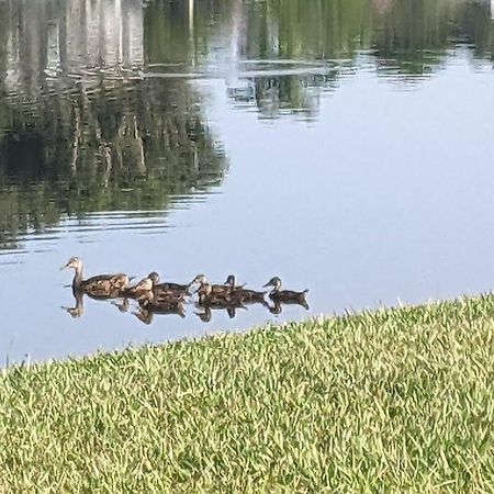 Port Saint Lucie A Little Piece Of Heaven- Peaceful Lake View Apartment- 1 Min From I95 And Turnpike Port St. Lucie Luaran gambar